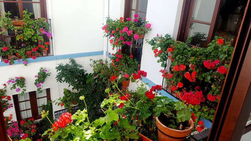 La Hospedería de Ana - Habitación Verde